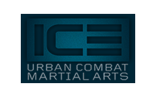 client-logo-ice